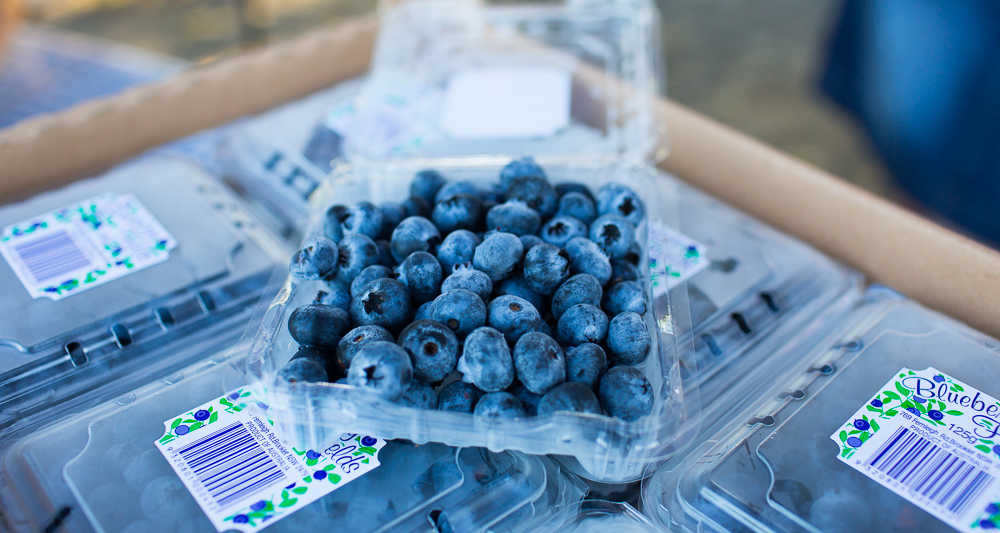 Blueberry Fields