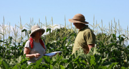 Bangalow Farm