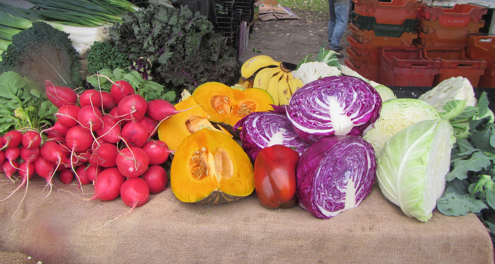 Caldera Harvest