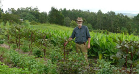 Wiccawood Farm Products